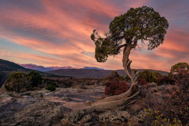 Gunnison Ulusal Parkı 'nın Kara Kanyonu