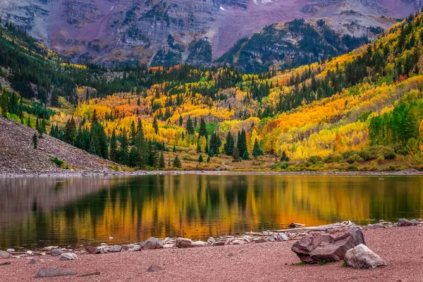 Kestane Çanları Karlı Yaban Hayatı ABD