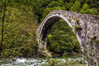Türkiye 'nin güzel sonbahar doğası