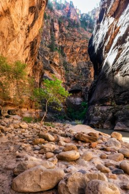 Zion Kanyonu Ulusal Parkı