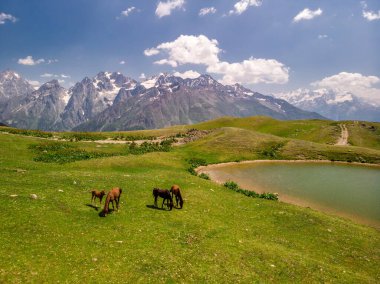 Gürcistan insansız hava aracı görüntüsü