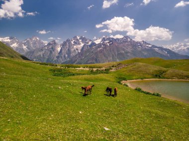 Gürcistan insansız hava aracı görüntüsü