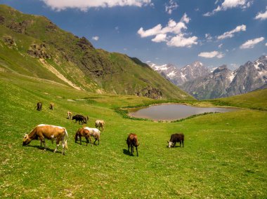Gürcistan insansız hava aracı görüntüsü