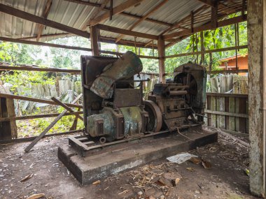 Antika, ağır paslanmış endüstriyel bir motor harap olmuş bir ahşap ve eğri büğrü bir metal barakanın altında, yemyeşil tropikal yapraklar ve aşırı büyümüş topraklarla çevrili, unutulmuş bir duyguyu çağrıştırıyor.