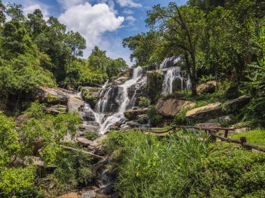 Majestic Mae Ya Şelalesi, Chiang Mai, Tayland 'da güneşli bir gökyüzünün altındaki canlı tropikal bir ormanda zarif bir şekilde şelalede serin ve güçlü bir doğal manzara sunuyor..