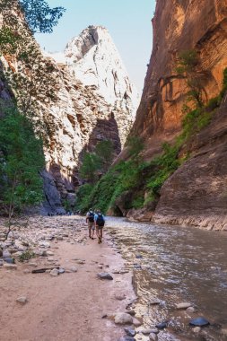 Zion Narrows 'tan nehri geçen yürüyüşçüler, Virgin Nehri' nin darlığı, Zion Kanyonu 'nun dik yüzleri, Zion Ulusal Parkı, Utah, ABD. Springdale, ABD - 20 Eylül 2018.