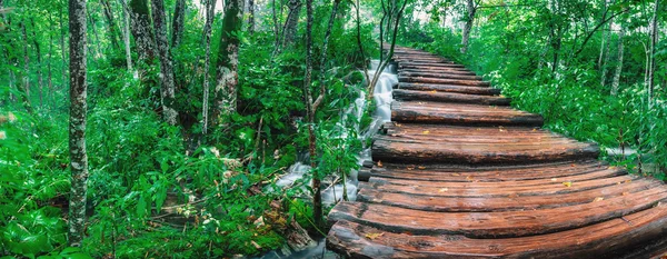 Wooden bridge over waterfall — Stock Photo, Image