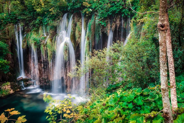 Отражение водопада с деревом — стоковое фото