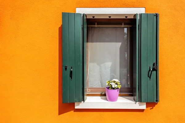 Ventana horisontal con flor — Foto de Stock