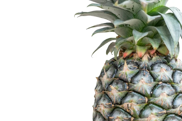 Nahaufnahme von Ananas isoliert auf weißem Hintergrund — Stockfoto