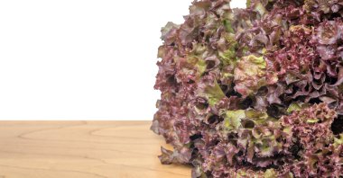 Beyaz arka plan ile ahşap masa üzerinde izole kırmızı meşe yaprak marul