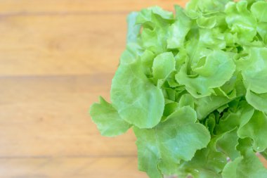 Ahşap masa üzerinde izole Meşe yaprağı taze marul