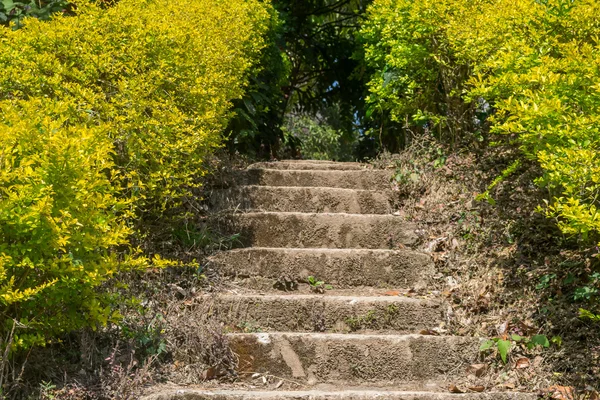 Escalier fait avec des marches de ciment dans un parc en Thaïlande — Photo