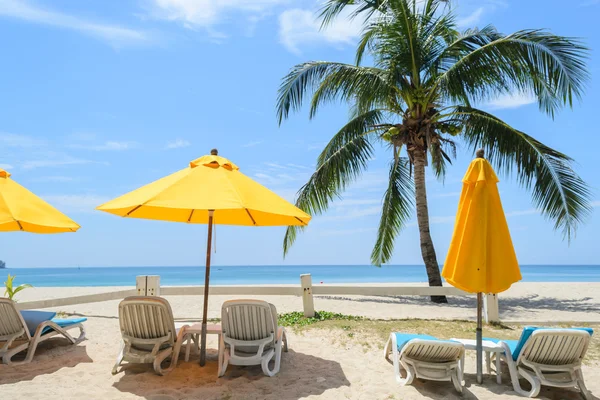 Plaj sandalyeleri ve Hindistan cevizi ağacı Bang Tao Beach, Phuket Tayland ile sarı şemsiye — Stok fotoğraf