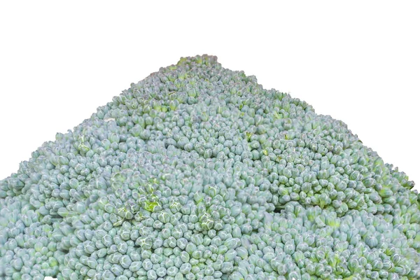 Primer plano del brócoli aislado sobre fondo blanco — Foto de Stock