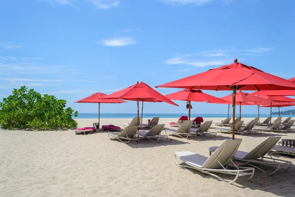 plaj sandalye ve kırmızı şemsiye Bang Tao Beach ile mavi gök, Phuket Tayland