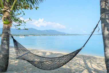 Hindistan cevizi ağaçları, Koh Samui Tayland arasında boş hamak