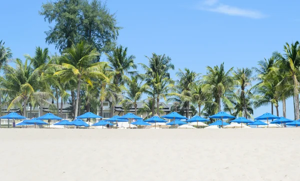 Blue umbrella on White Sand Beach with coconut tree in Phuket, Thailand — стоковое фото