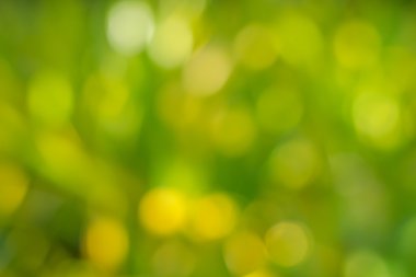 Parlak yeşil ve beyaz bokeh bulanıklık