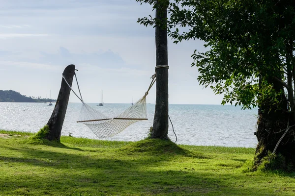 Hängmattan mellan kokospalmer på garden beach bakgrund, Koh Samui i Thailand — Stockfoto