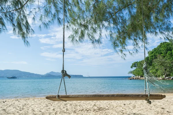 wood swing on the beach with pine tree and blue sky background