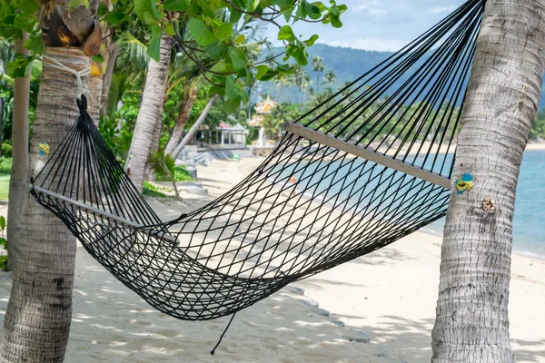 Hamaca vacía entre cocoteros en la playa, Koh Samui en Tailandia —  Fotos de Stock