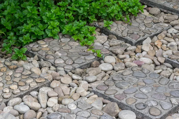 Bahçede taş yürüyüşü