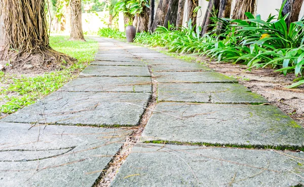 Chemin de pierre dans le jardin — Photo