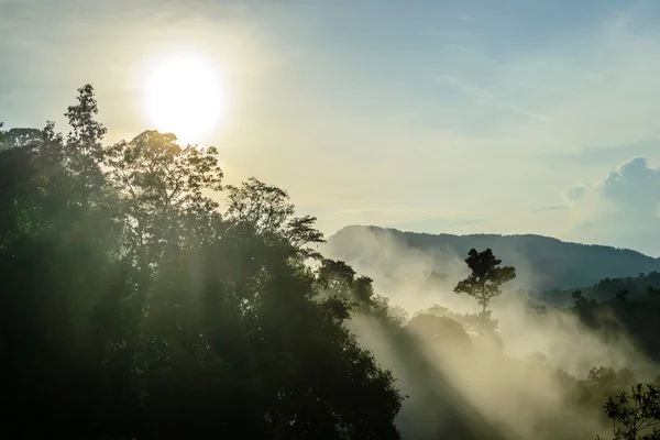 Brouillard au sommet de la colline et lever du soleil — Photo