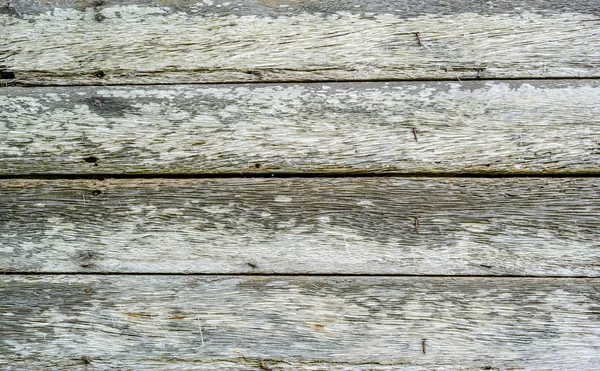 Vecchio legno — Foto Stock