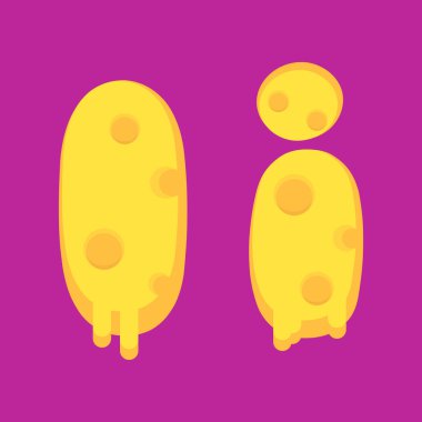 Erimiş peynir şeklinde 