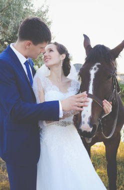 Genç gelin ve damat, yürümek atları ile bir gruptaki