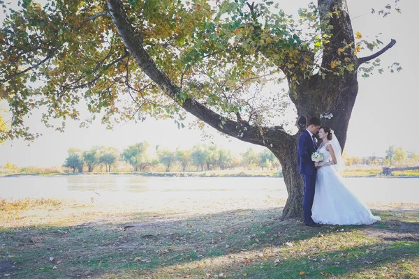 Les jeunes mariés marchent dans la nature le jour du mariage — Photo