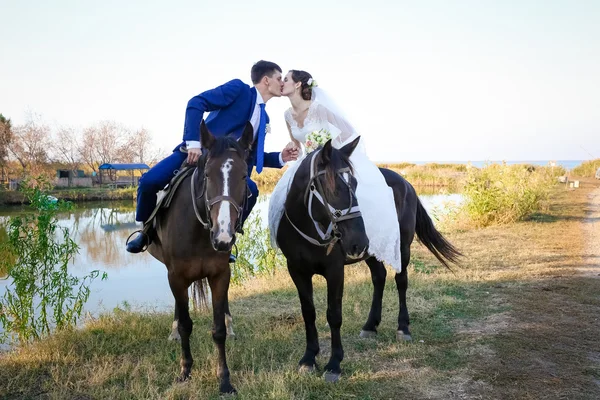 Jeune marié, promenade dans une ferme avec des chevaux — Photo