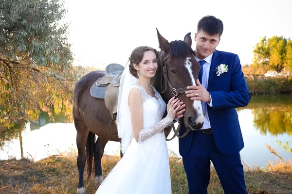 Young bride and groom, walk in a farm with horses — Stock Photo, Image