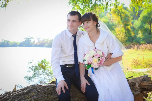 Jovem noiva e noivo caminham na natureza no dia do casamento — Fotografia de Stock