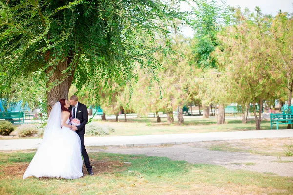 年轻的新娘和新郎在婚礼当天在大自然中漫步 — 图库照片