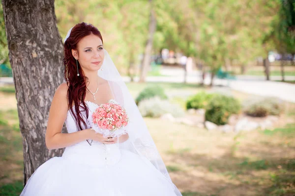 Jovem noiva e noivo caminham na natureza no dia do casamento — Fotografia de Stock