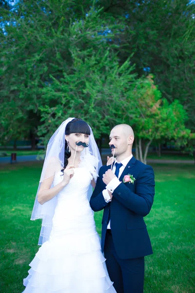 Día de la boda —  Fotos de Stock