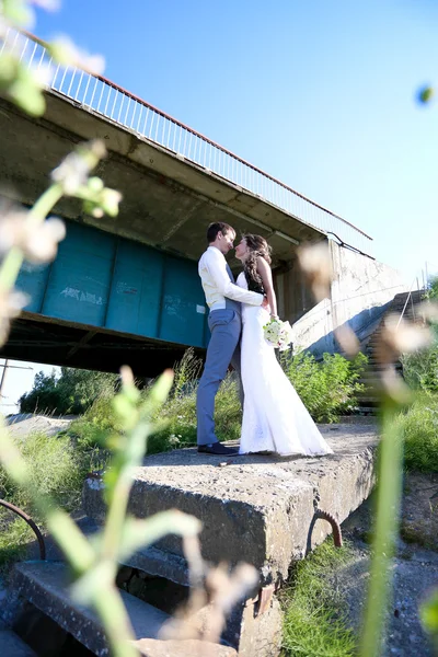 Jovem noiva e noivo caminham na natureza no dia do casamento — Fotografia de Stock