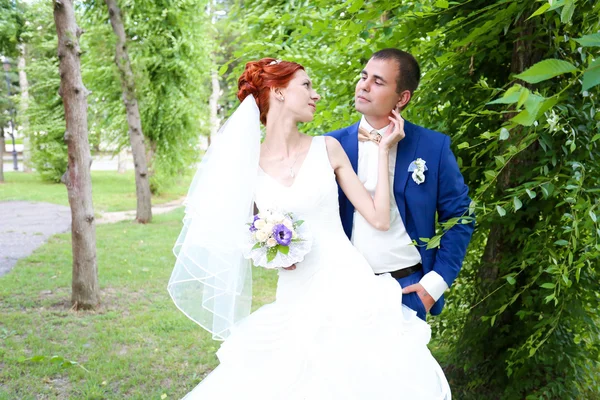 Beautiful kiss bride and groom — Stock fotografie