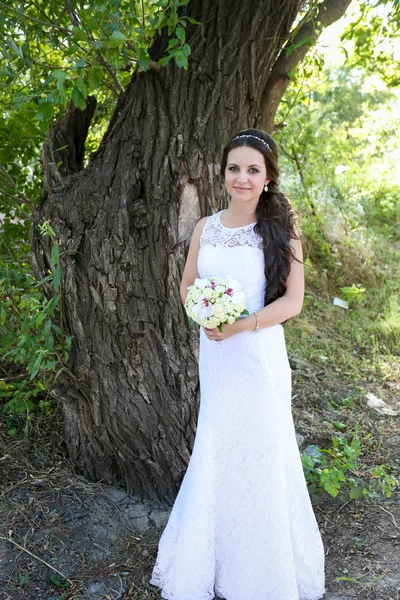 Giovane sposa in bellissimo abito da sposa — Foto Stock