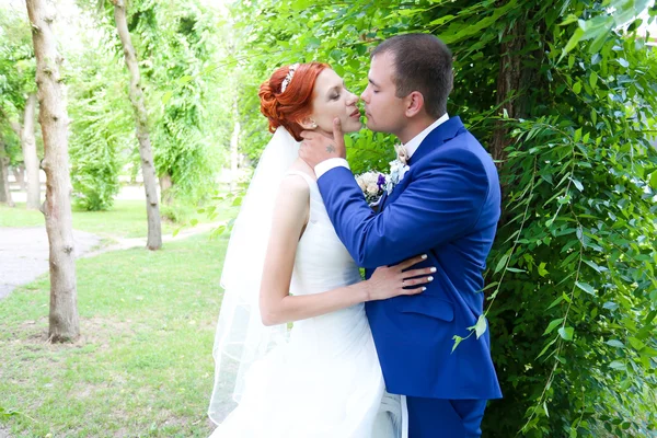 Beautiful kiss bride and groom — Stock fotografie