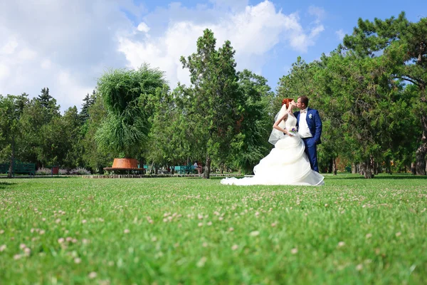 Novia joven y novio caminan en la naturaleza en el día de la boda — Foto de Stock