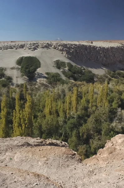 Canyon in de woestijn — Stockfoto