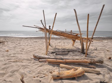 Akdeniz reed kulübe gelen