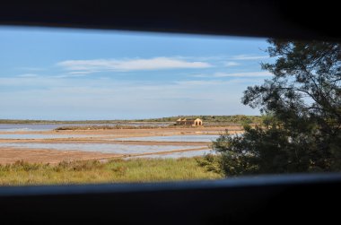 Nerede Vendicari içinde flamingolar iç içe park