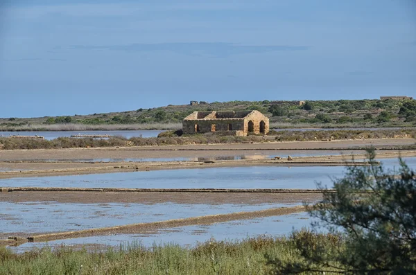 Il parco dove nidificano i fenicotteri in Sicilia — Foto Stock