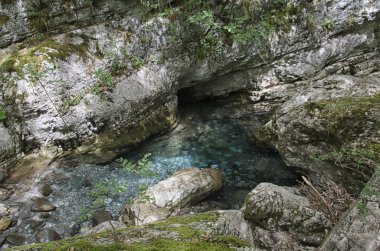 Toskana küçük bahar