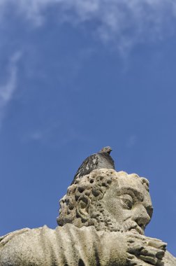 Bir heykelin kafasına güvercin tünemiş